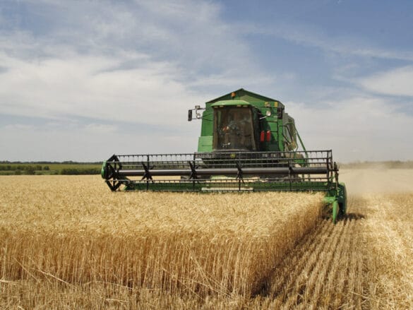 Valentino DiGiorgio agribusiness